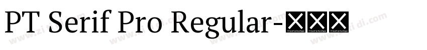 PT Serif Pro Regular字体转换